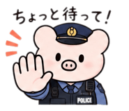 884639211