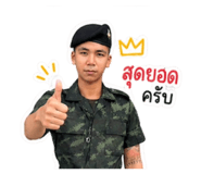 884640382