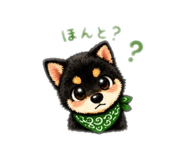 884643665