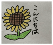 884645708