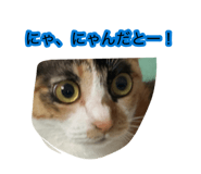 884649674