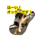 884649675