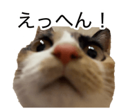884649678