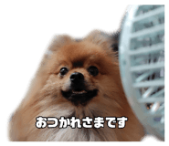 884650099