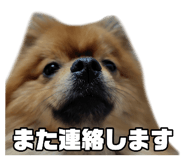884650103