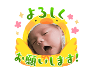 884651117