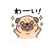 884655068