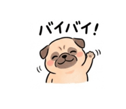 884655078
