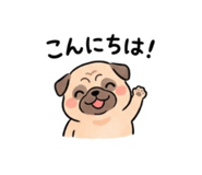 884655079