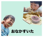 884657735