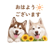 884657754
