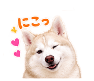 884657785