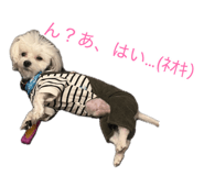 884658954