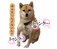 884658993