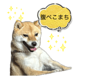 884658996