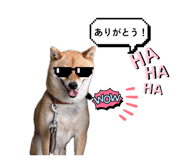 884659000
