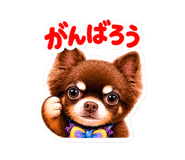 884663670