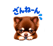 884663677