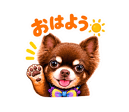884664065