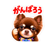 884664084