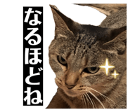 884664994