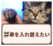 884665002
