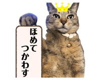 884665007
