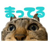 884665009