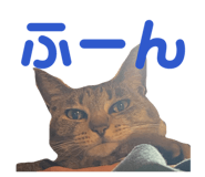 884665010