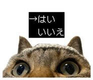 884665030