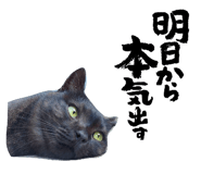 884665053