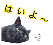 884665057