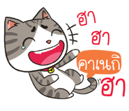 884699200
