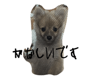 884700938
