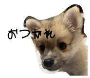 884700939