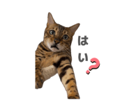 884708558
