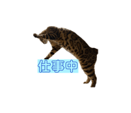 884708565