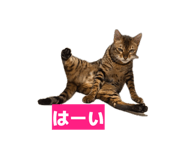 884708566