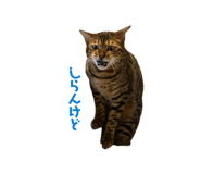 884708569