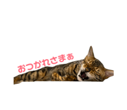 884708580