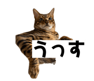 884708588