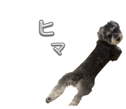 884710591