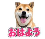 884711369