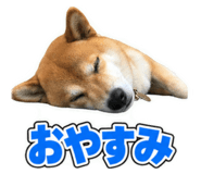 884711370