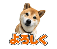 884711371