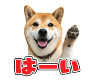 884711373