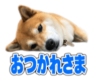 884711374