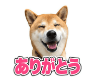 884711375