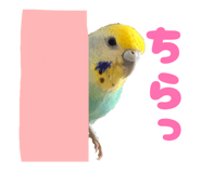 884711576
