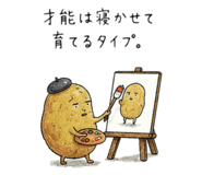 884711977